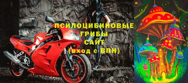 тгк Алзамай